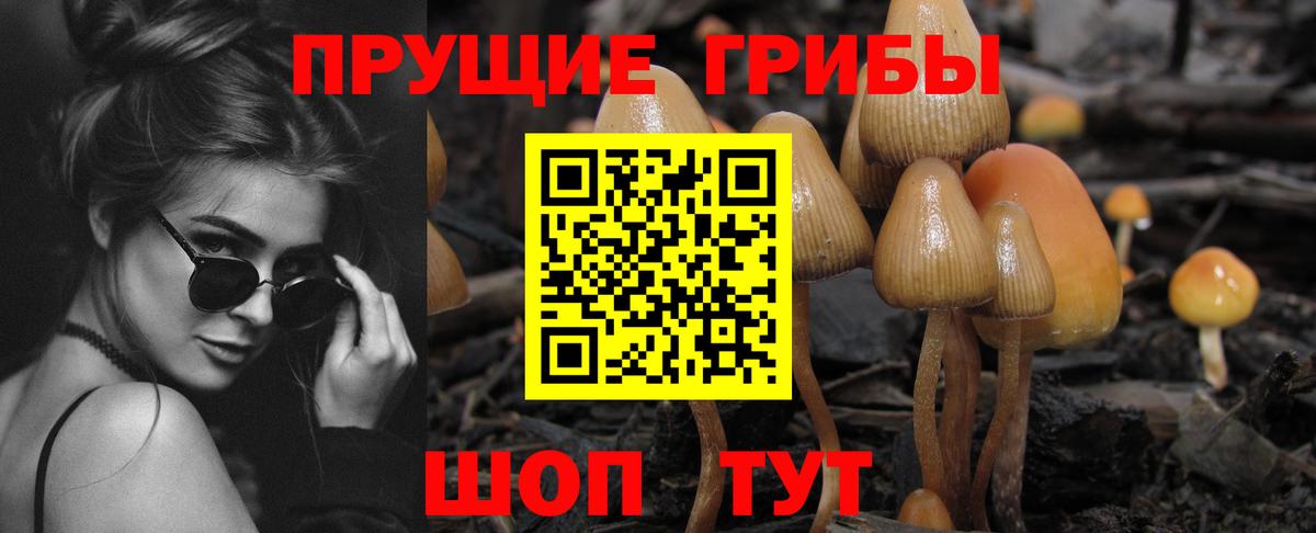 Псилоцибиновые грибы Cubensis Видное